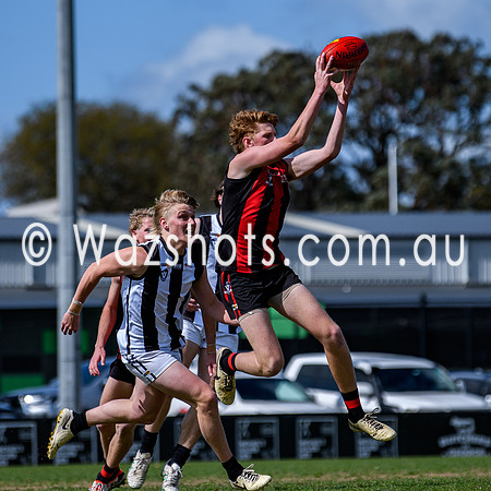 20240908 1st SF Sale v Maffra Reserves-31
