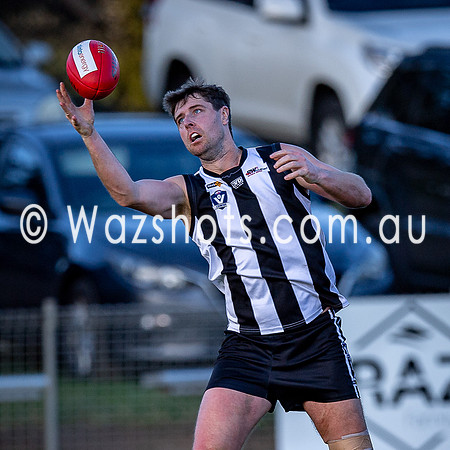 RD15 Sale v Moe Snrs-051