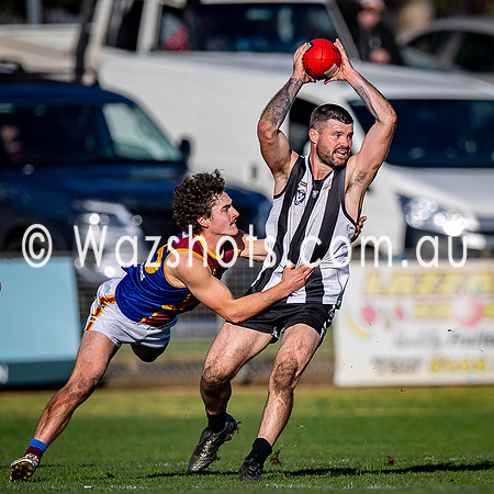 RD15 Sale v Moe Snrs-063