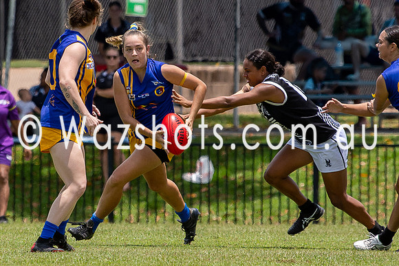 20201121 WPL v Magpies-6.jpg
