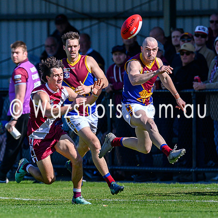 20240831 QF Traralgon V Moe Seniors-1012