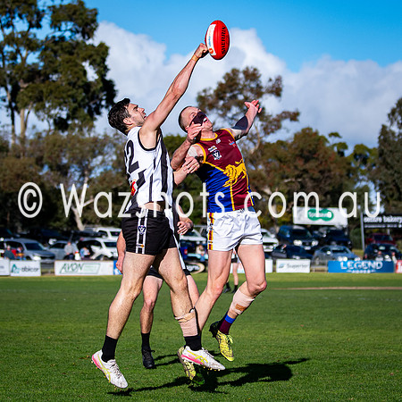 RD15 Sale v Moe Snrs-029