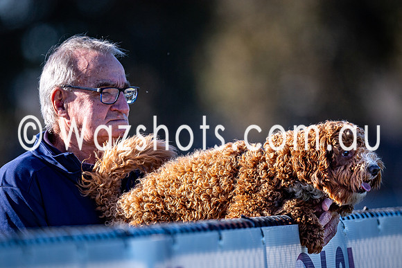 RD10 Moe v Bairnsdale reserves-43