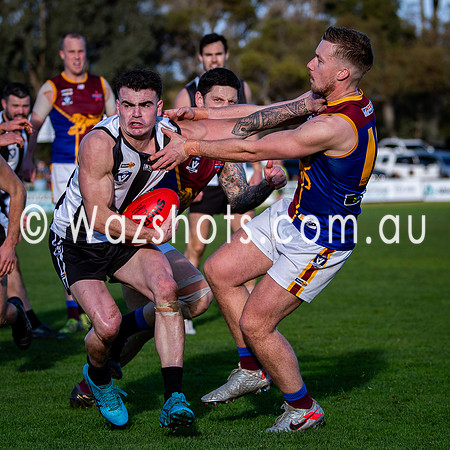 RD15 Sale v Moe Snrs-074
