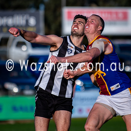 RD15 Sale v Moe Snrs-073