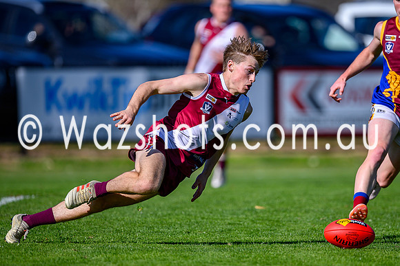 20240831 QF Traralgon V Moe Seniors-1021