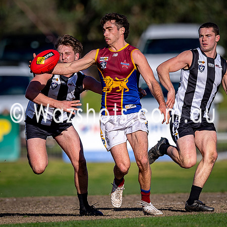 RD15 Sale v Moe Snrs-059