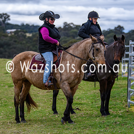 20240519 Calulu Creek Team Penning-8