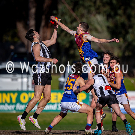 RD15 Sale v Moe Snrs-037