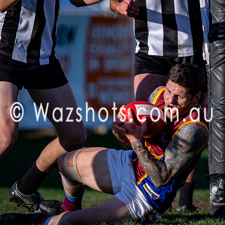 RD15 Sale v Moe Snrs-079