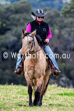 20240519 Calulu Creek Team Penning-2