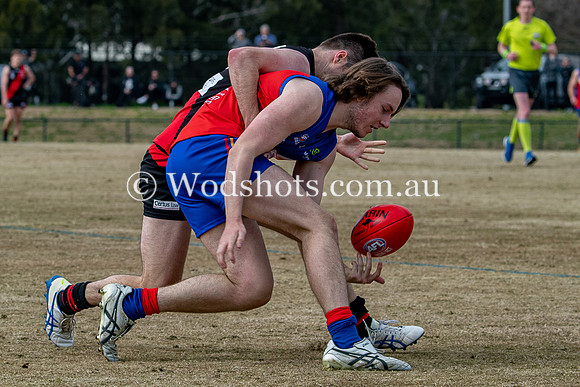 20200725 M2s v EL-37.jpg