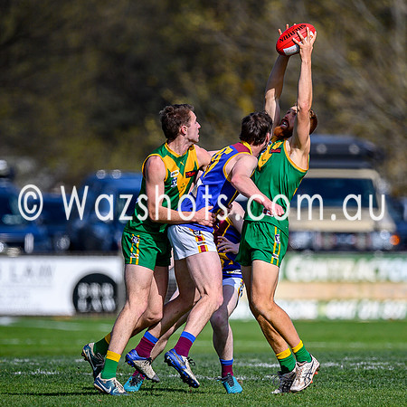20240907 2nd SF Leongatha v Moe Seniors-18