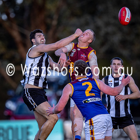 RD15 Sale v Moe Snrs-027