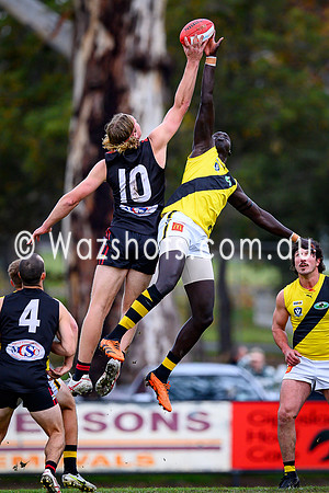 20250517 Maffra v Morwell Seniors-20