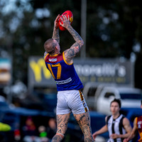 RD15 Sale v Moe Snrs-005