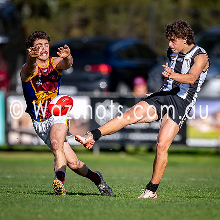 RD15 Sale v Moe Snrs-038