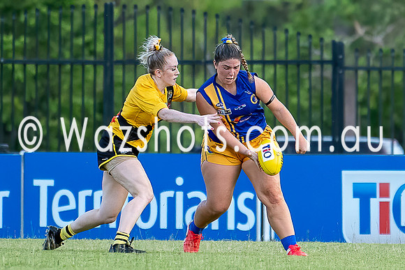20201017 WPL v Tigers-19.jpg