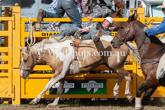 2020 QBN Rodeo-19.jpg