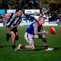 RD15 Sale v Moe Snrs-013