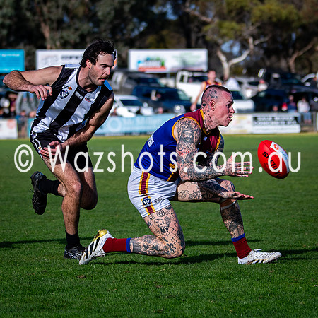 RD15 Sale v Moe Snrs-013