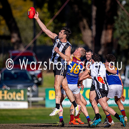 RD15 Sale v Moe Snrs-044