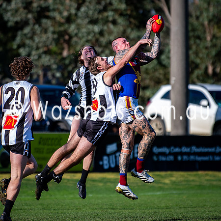 RD15 Sale v Moe Snrs-031