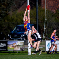 RD15 Sale v Moe Snrs-014