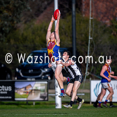 RD15 Sale v Moe Snrs-014