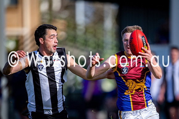 RD15 Sale v Moe Snrs-020