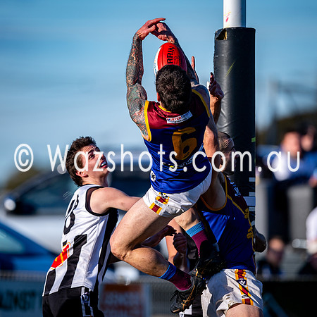 RD15 Sale v Moe Snrs-077