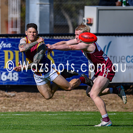 20240831 QF Traralgon V Moe Seniors-1015