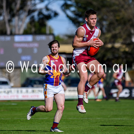 20240831 QF Traralgon V Moe Seniors-1022