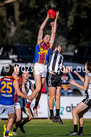 RD15 Sale v Moe Snrs-043