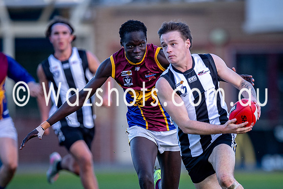 RD15 Sale v Moe Snrs-064