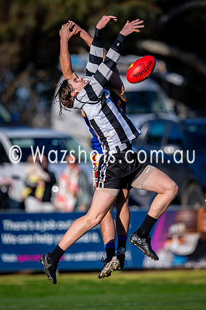 RD15 Sale v Moe Snrs-075