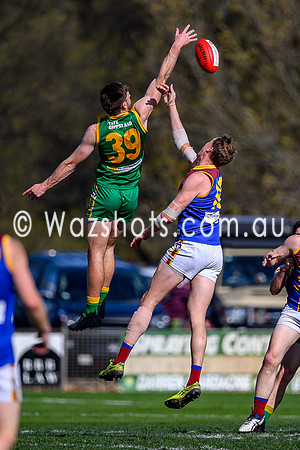20240907 2nd SF Leongatha v Moe Seniors-25
