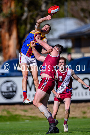 20240831 QF Traralgon V Moe Seniors-1018